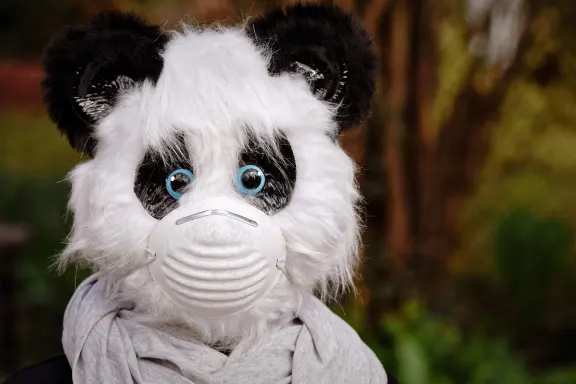 Casino Fairground Slots Ënnerstëtzung